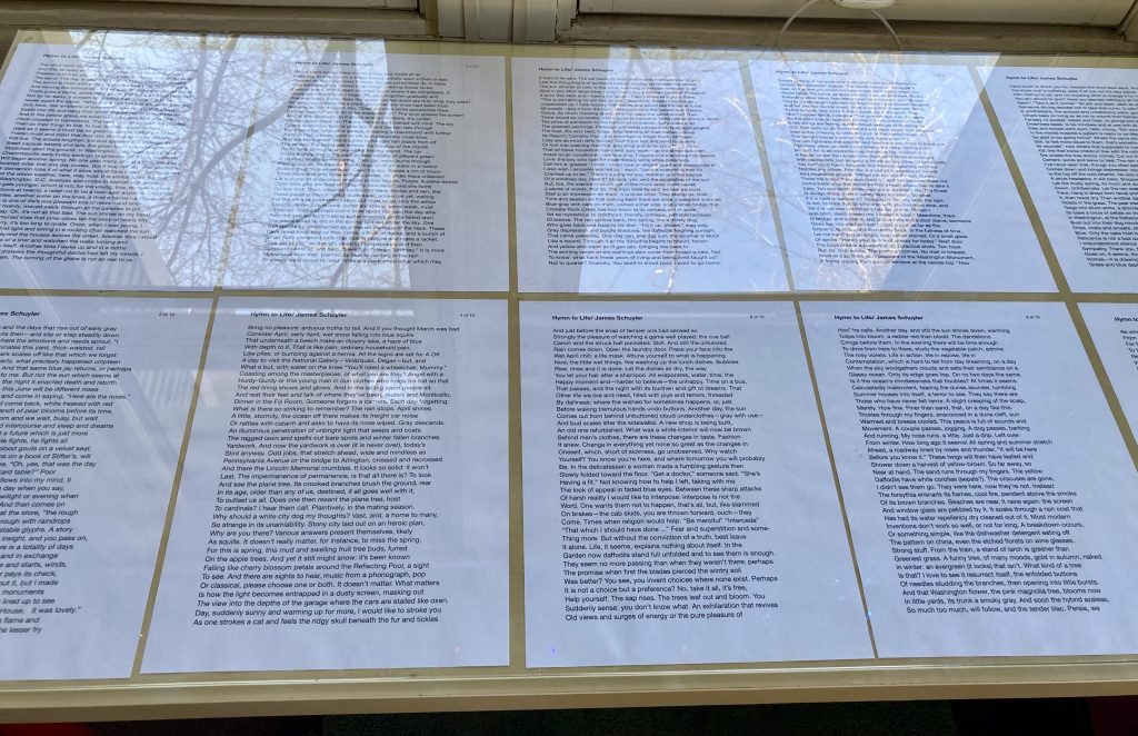 image of desk topped with a poem under glass that reflects a tree outside the window