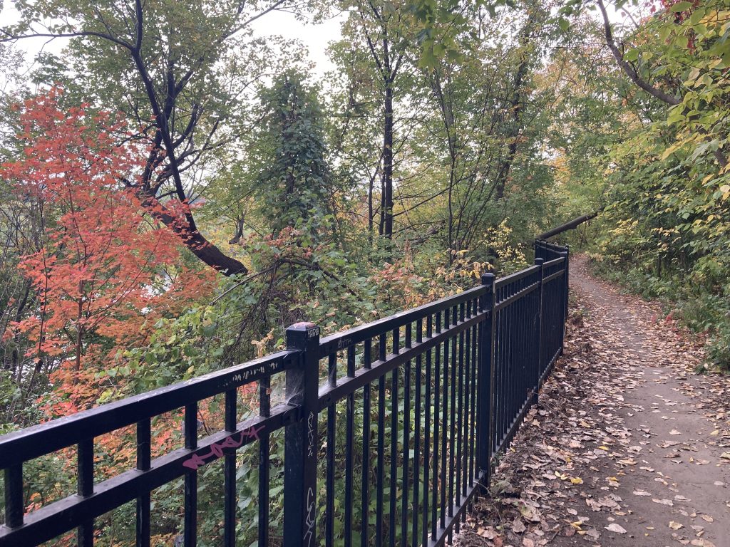 a black railing, a leaf-covered trail, some red leaves on a tree. On the left side, above the railing, a sliver of river