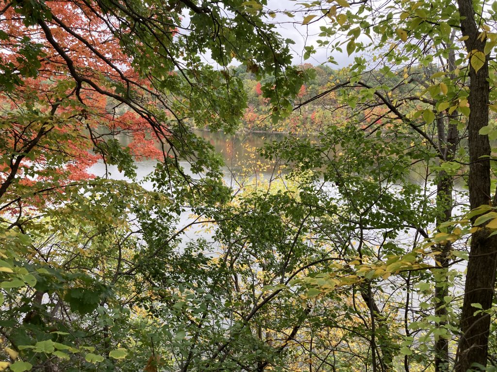 on the west side of the mississippi river, looking through some yellowish reddish orangish leaves to the pale blue-gray river. On the far edge of the river, you can glimpse a red tree on the east side of the river. Fall is here, winter is coming.