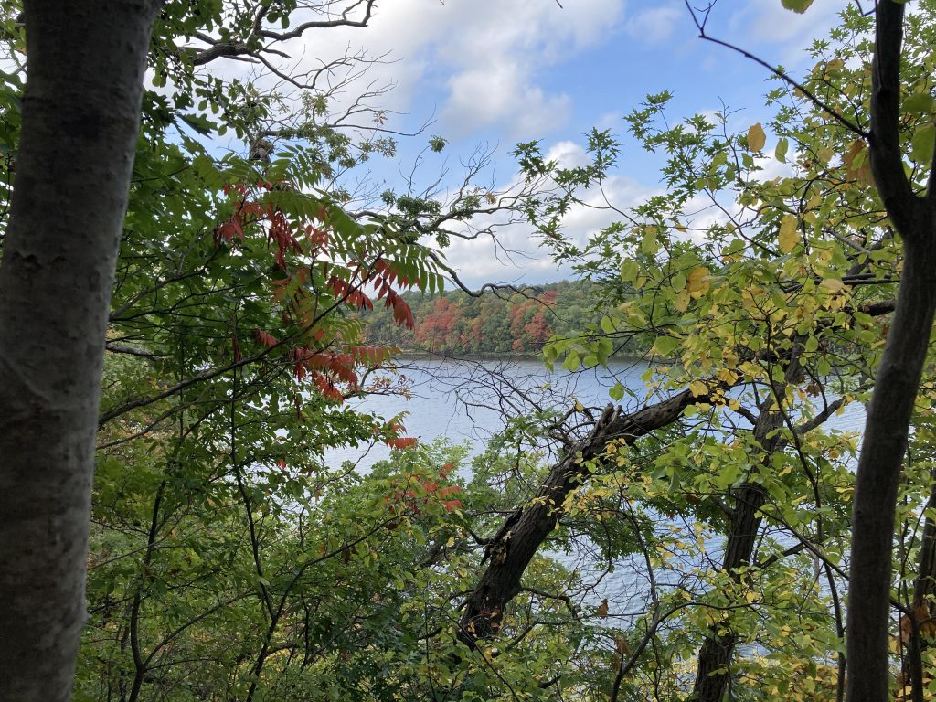 Standing on the edge of the bluff on the east side of the Mississippi, looking through some yellow red leaves to the river and its west side