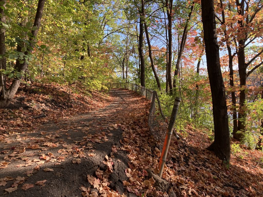 At the bottom of a paved section of the Winchell Trail, covered in red and yellow and brown leaves. On the edge of the path, an old chain link fence attempts to hold back leaves, the trunks of a few trees, and the open air of the gorge.