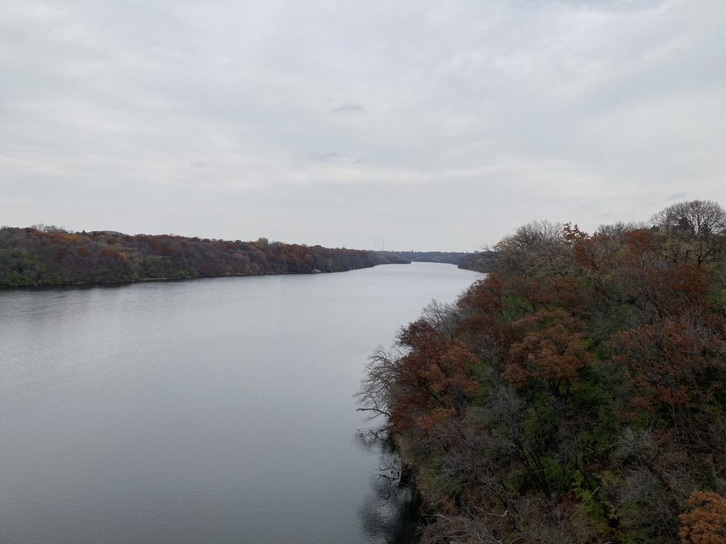 A view from the ford bridge, poorly framed. Not sure what color other people might see here, but to me it's all gray: light gray sky and river, broken up by chunks of dark gray trees. I like how the sky and the river look almost the same color to me.