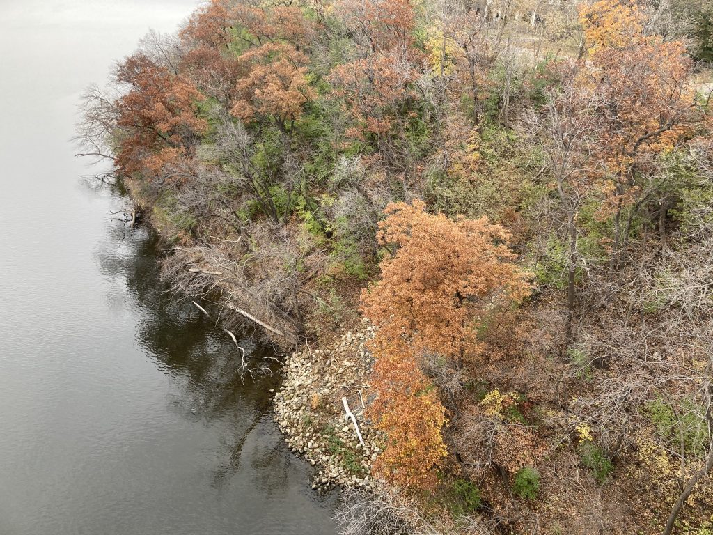 My view of the river from the ford bridge. I stuck my phone above the railing, pointed and clicked quickly, afraid I might drop my phone into the river. For me, this image is fuzzy, almost furry, with soft greens and golds and grays. Most of the shot is of the past-their-prime trees on the shore of the Mississippi. All along the left edge curved around the trees is the light gray river which, at some point, turns into the sky. This image looks more like a painting than a photograph.